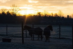20161203 084627 0250 D7200-Bearbeitet 1