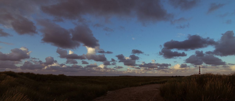 20160810_203150_0947_D7200_1.jpg