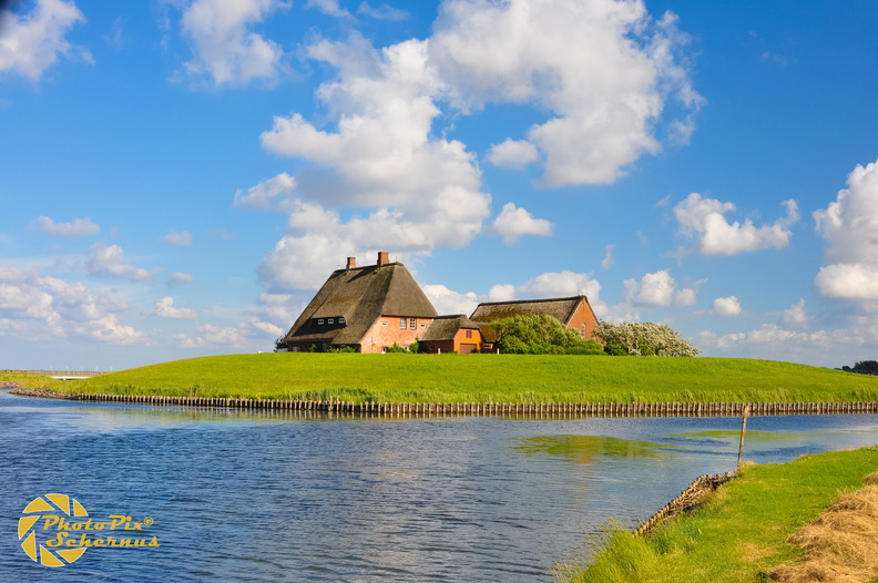 20100725_173635_D90.jpg