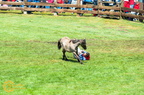 20150530 151537 D90