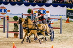 20170113 231817 0964 D7200