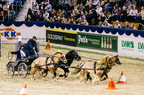 20170113 232706 1042 D7200