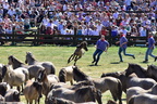 20170527 152638 0240 D7200