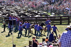 20170527 155422 0293 D7200