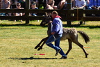 20170527 161913 0330 D7200