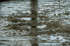 20240420 130322 00554-Bearbeitet