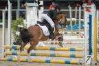 2024-06-01 Turnier Südlohn-Oeding / Prüfungen 07, 09, 15 und 16