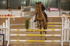 20231201 212607 00381-Bearbeitet